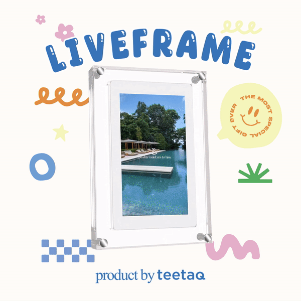 「LIVEFRAME」LIVE MOTION FRAME
